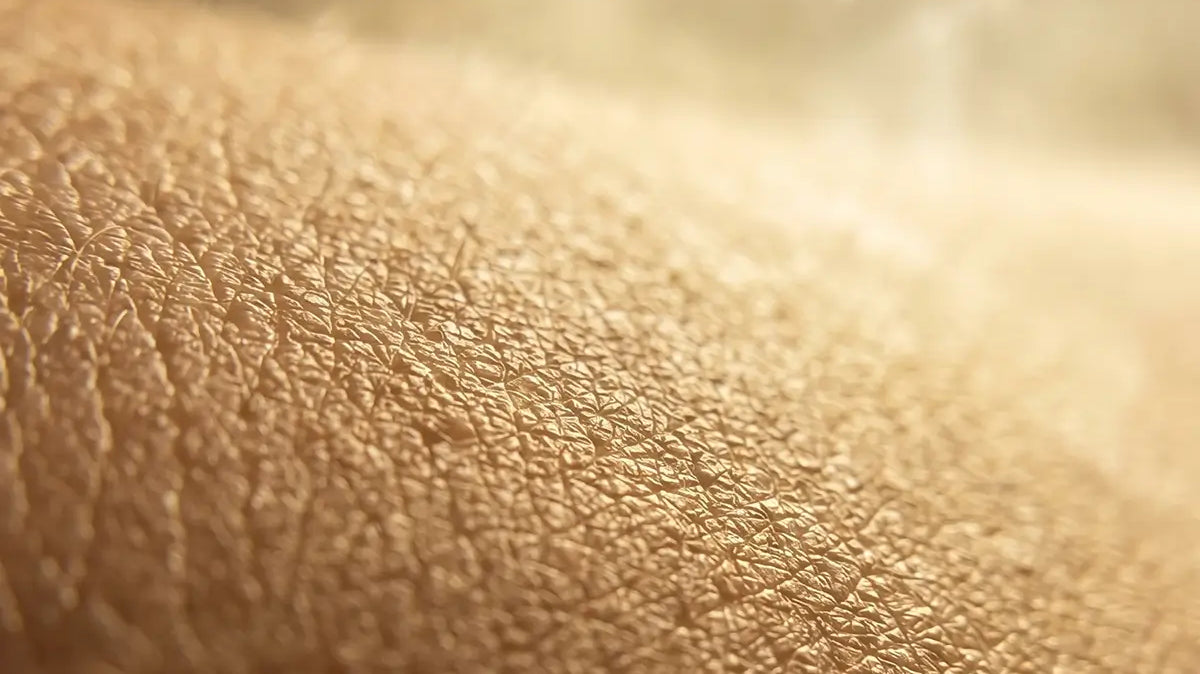 What Is Your Skin Microbiome?