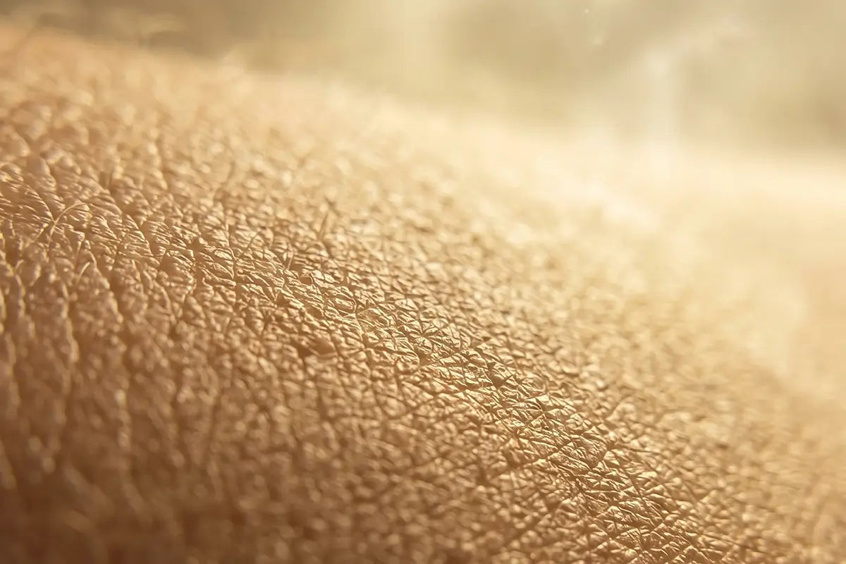 What Is Your Skin Microbiome?