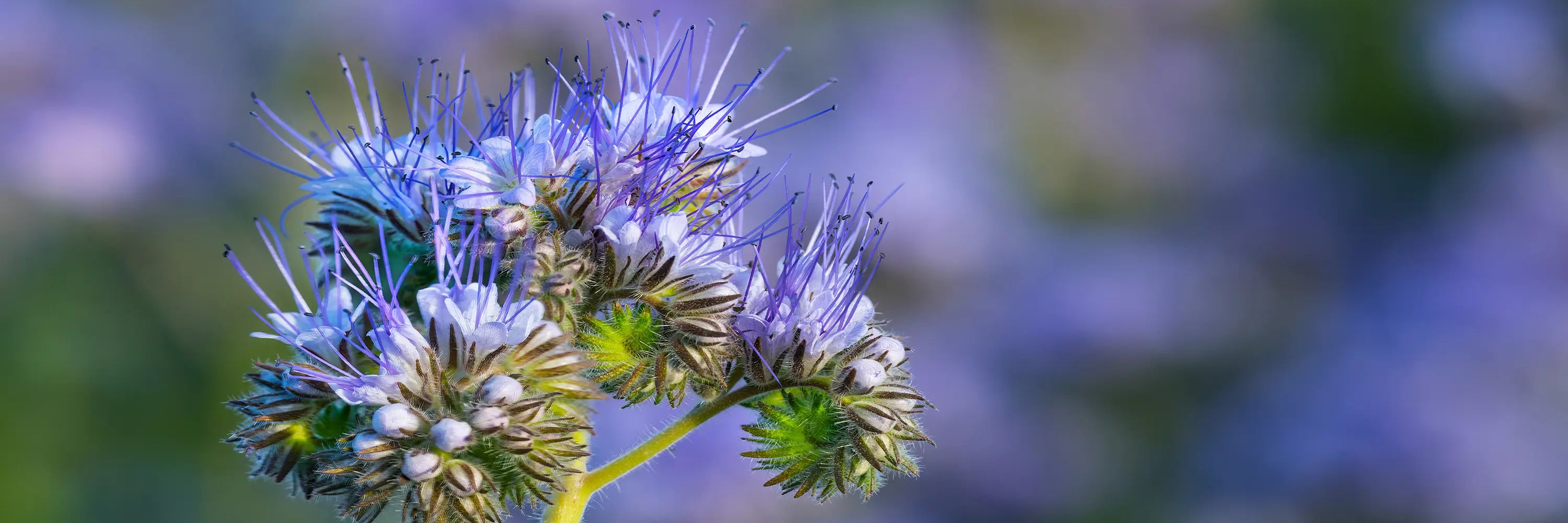 Slik får du best resultat