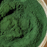 Chlorella