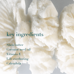 Herbal Shea Butter Face & Body Moisturizer