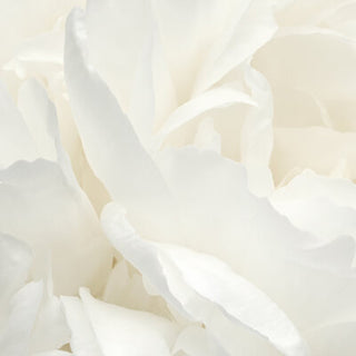 Pion