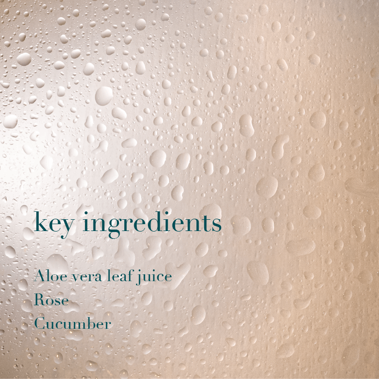 Rose Tonic Face & Body Mist