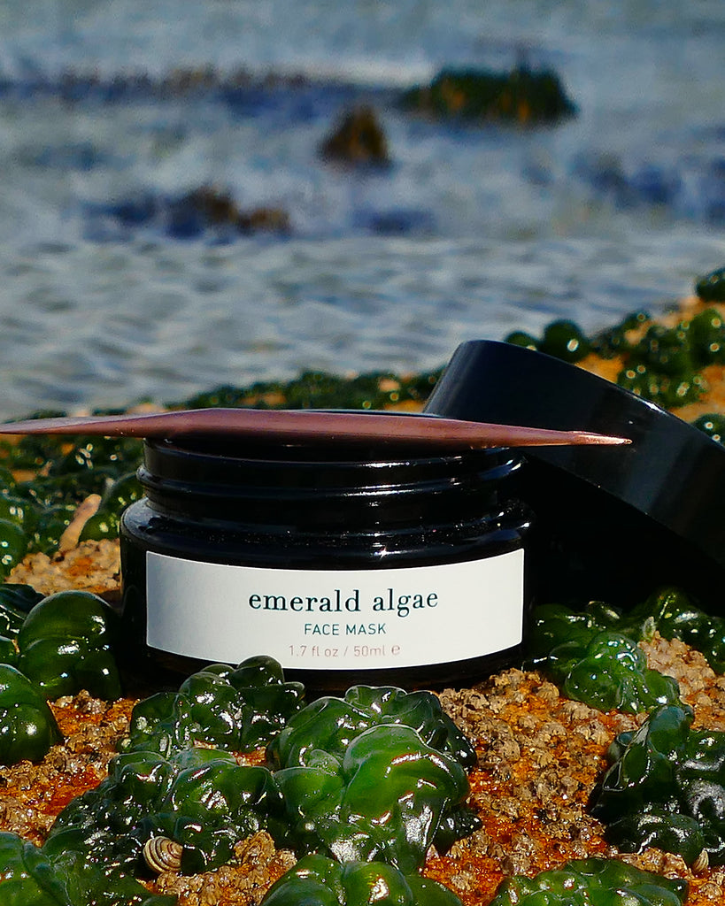 ISUN Emerald Algae Face Mask 50ml Jar in nature
